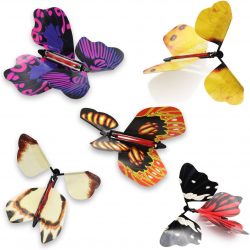 Flying Butterfly